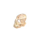 Skull Earclip